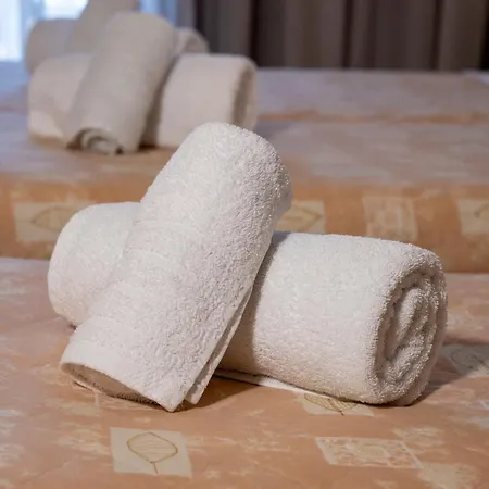 Hotel Epavlis *