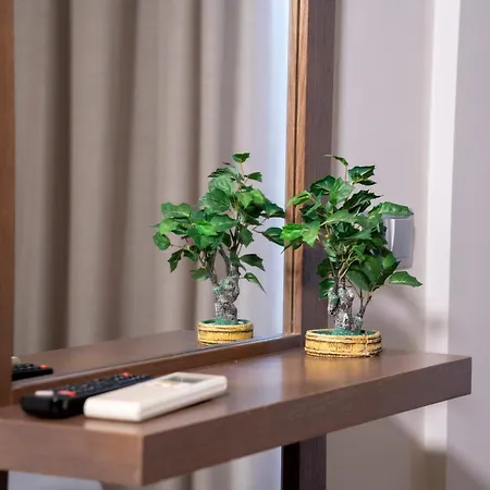 Epavlis Eleftheriadi *