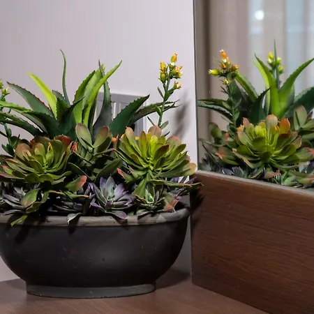 Epavlis Eleftheriadi