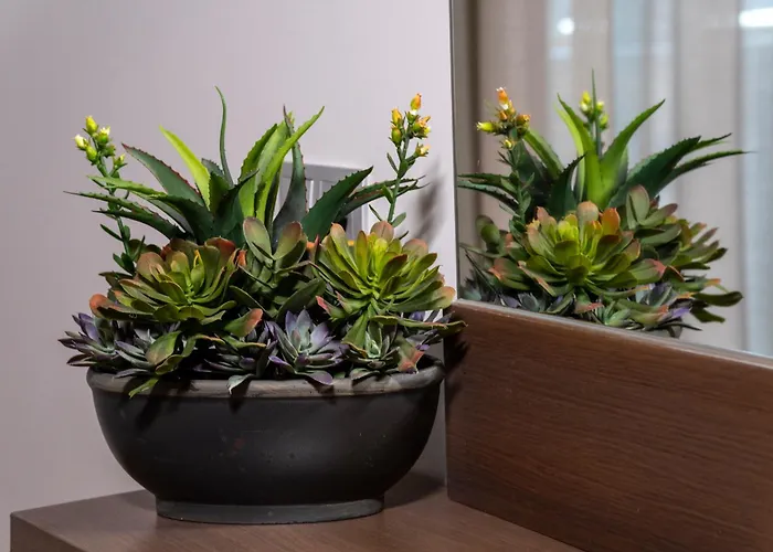 Epavlis Eleftheriadi